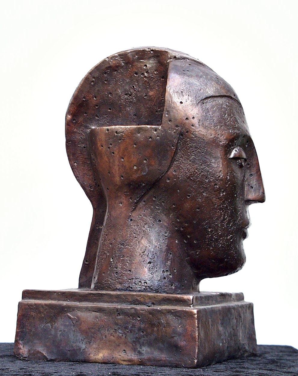 Archillus perforatus208